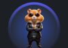 hamster kombat airdrop HMSTR