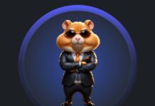 hamster kombat airdrop HMSTR