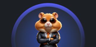 hamster kombat airdrop HMSTR