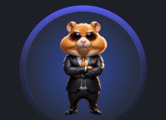 hamster kombat airdrop HMSTR